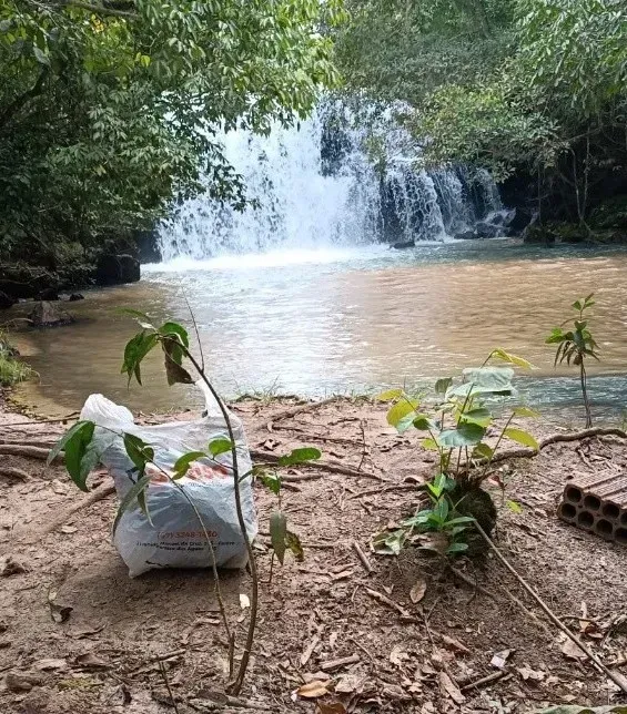 Imagem de compartilhamento para o artigo Descarte irregular de lixo preocupa e ameaça áreas turísticas em Paraíso das Águas da MS Todo dia